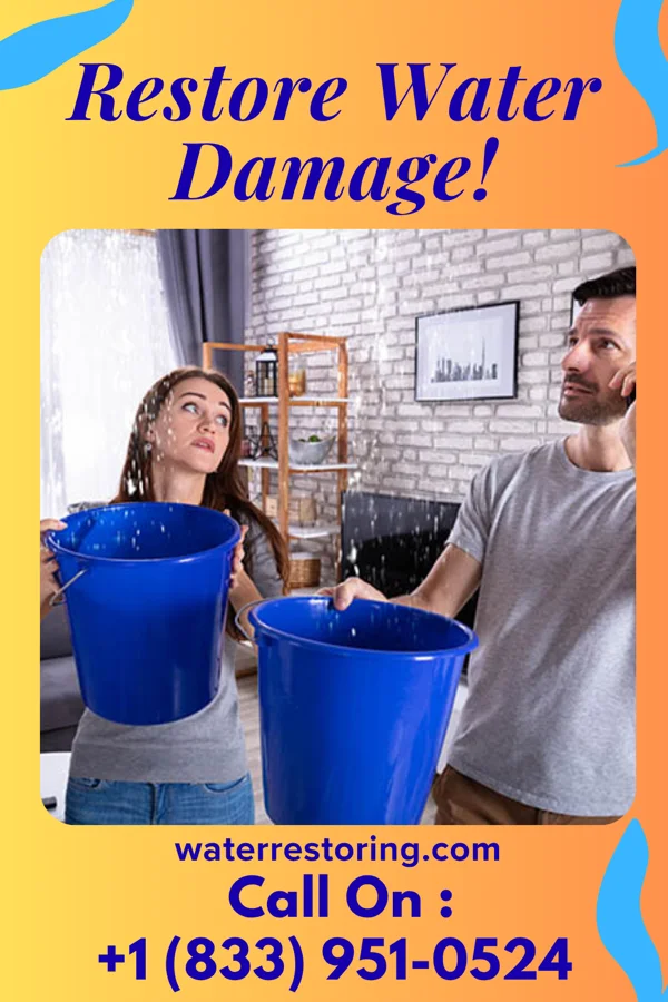 water restoration Western Water Damage Professionals Milford
