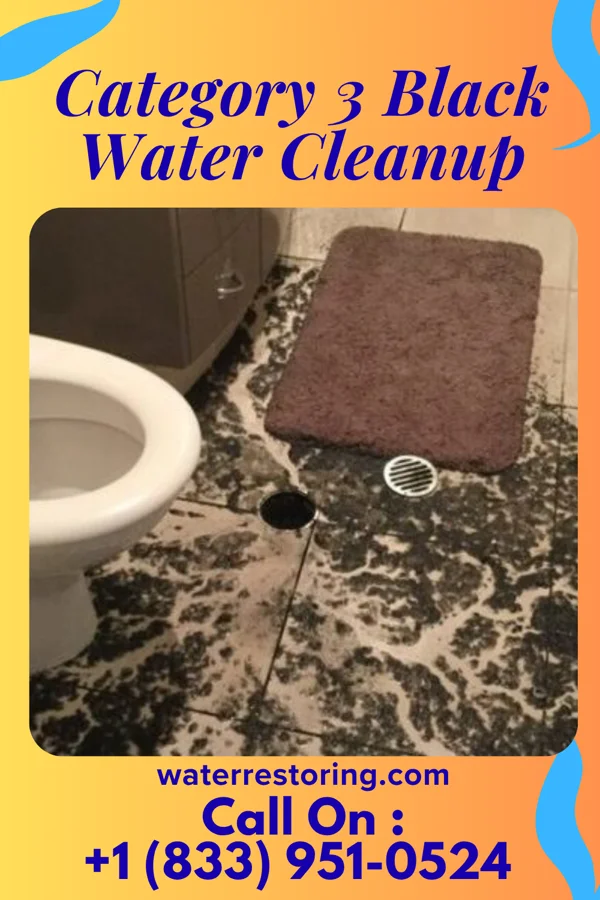Category 3 Black Water Cleanup in Milford, PA