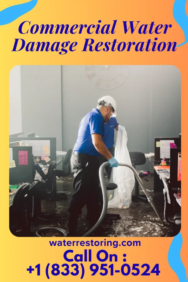 Commercial Water Damage Restoration in Milford, PA