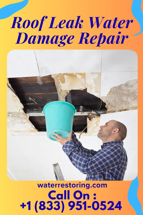 Roof Leak Water Damage Repair in Milford, PA