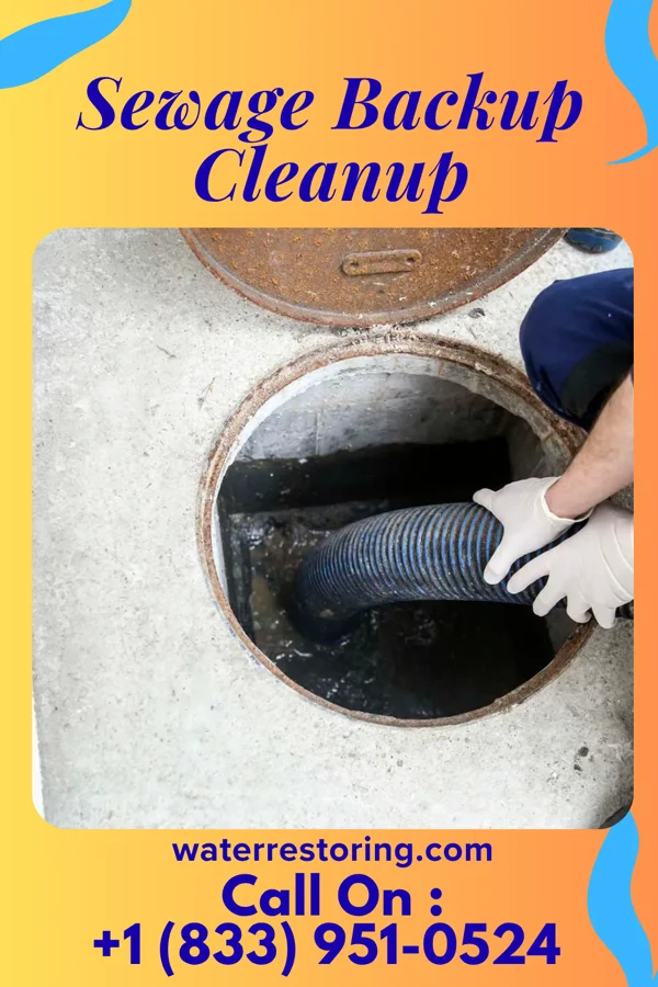 Sewage Backup Cleanup in Milford, PA